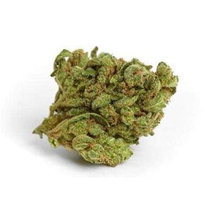 Black Berry strain