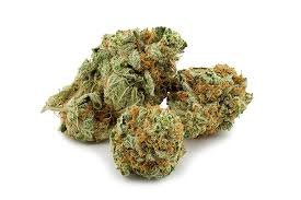 Blue Dream Strain