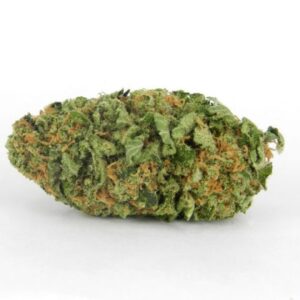Northern Lights UK