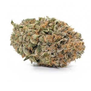Gelato