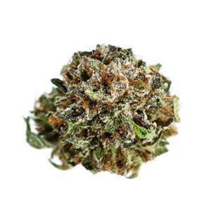 LSD Strain