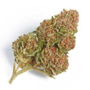 Northern Lights Strain