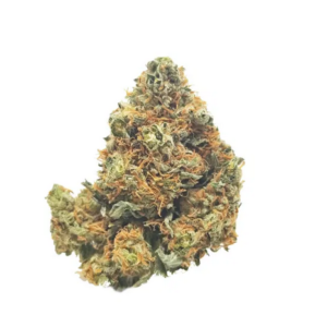 Orange Cookies Ontario