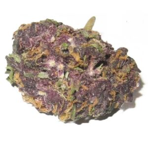 Purple Kush BarbadosPurple Kush Barbados
