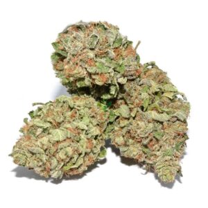 Purple Kush Strain uk Purple/ Kush Purple Kush Strain