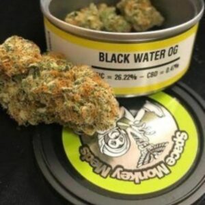 Space monkey meds Black Water OG