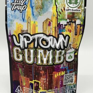 Up Town gumbo